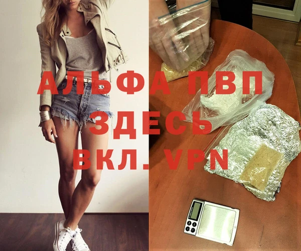 индика Балахна