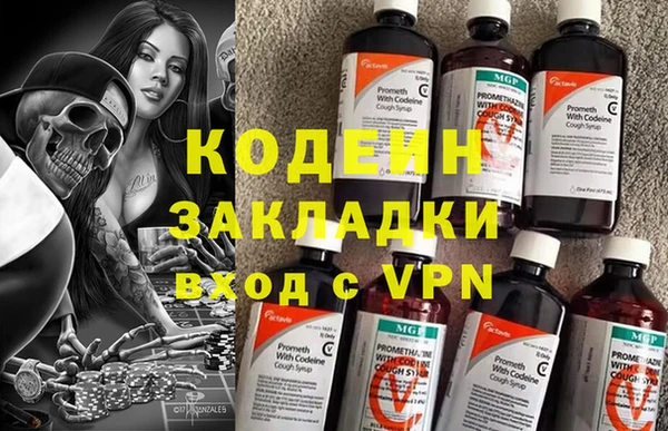 индика Балахна