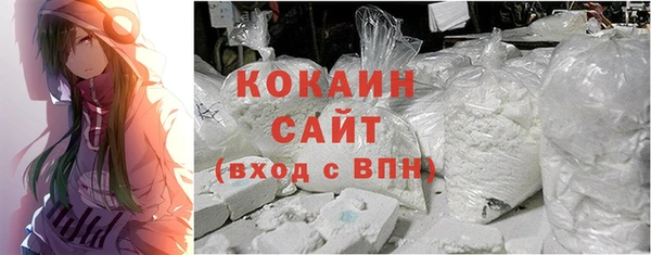 индика Балахна