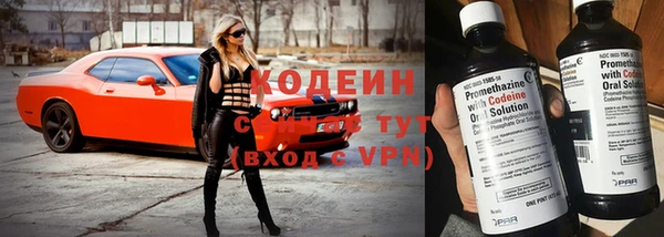 индика Балахна