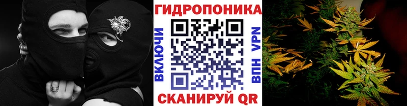Конопля конопля Назарово